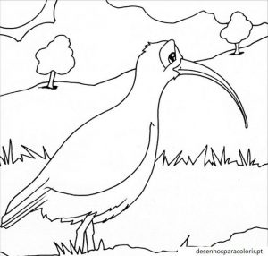 Read more about the article Desenhos de pássaros para imprimir grátis 07